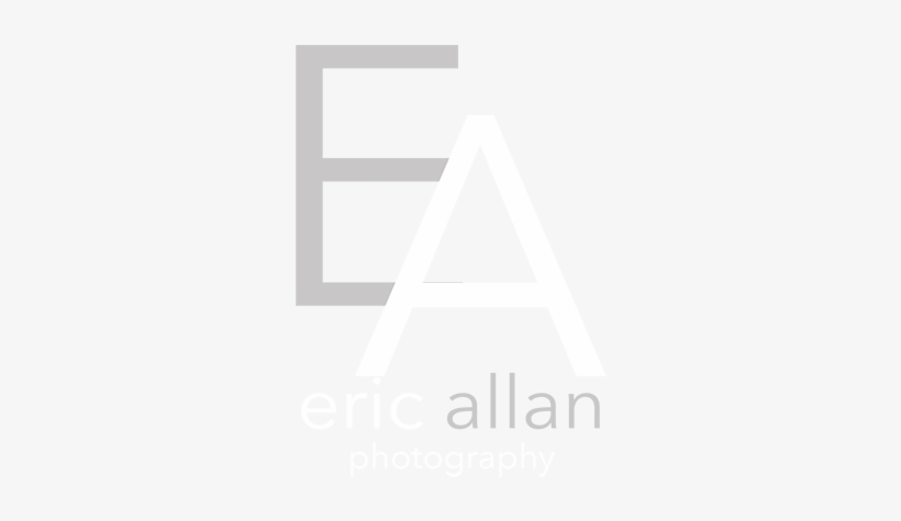 Policy Update, transparent png download