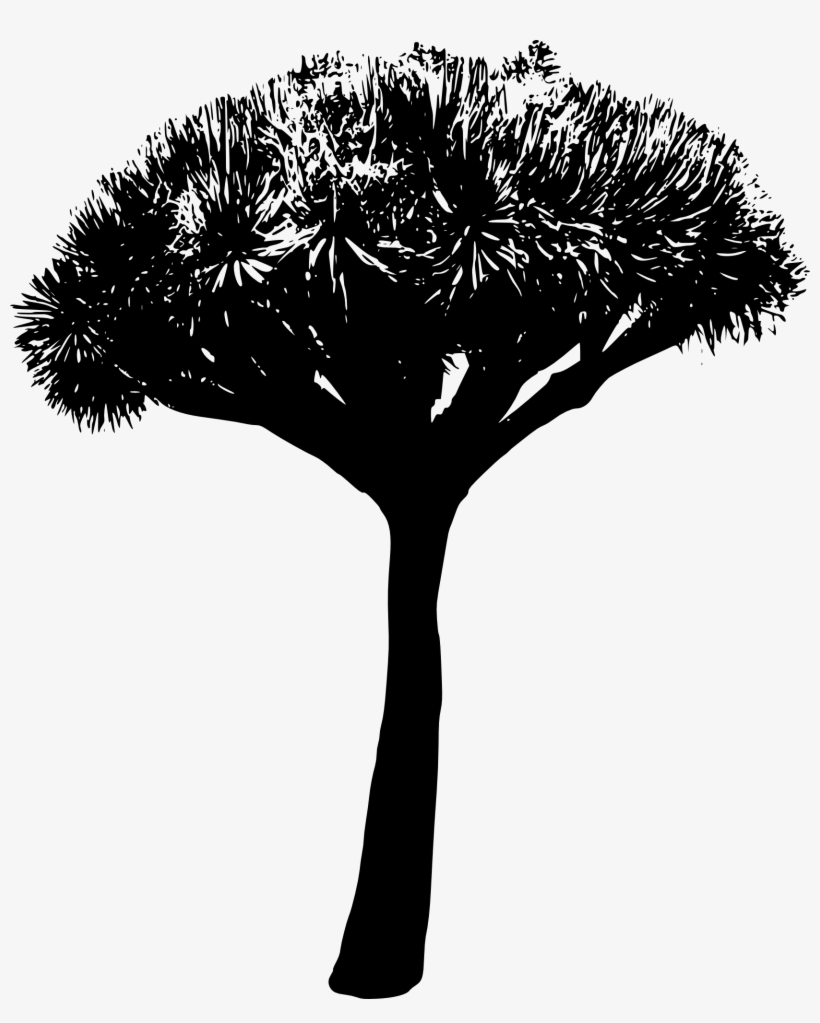 45 Tree Silhouettes Png Transparent Background - Silhouette, transparent png download