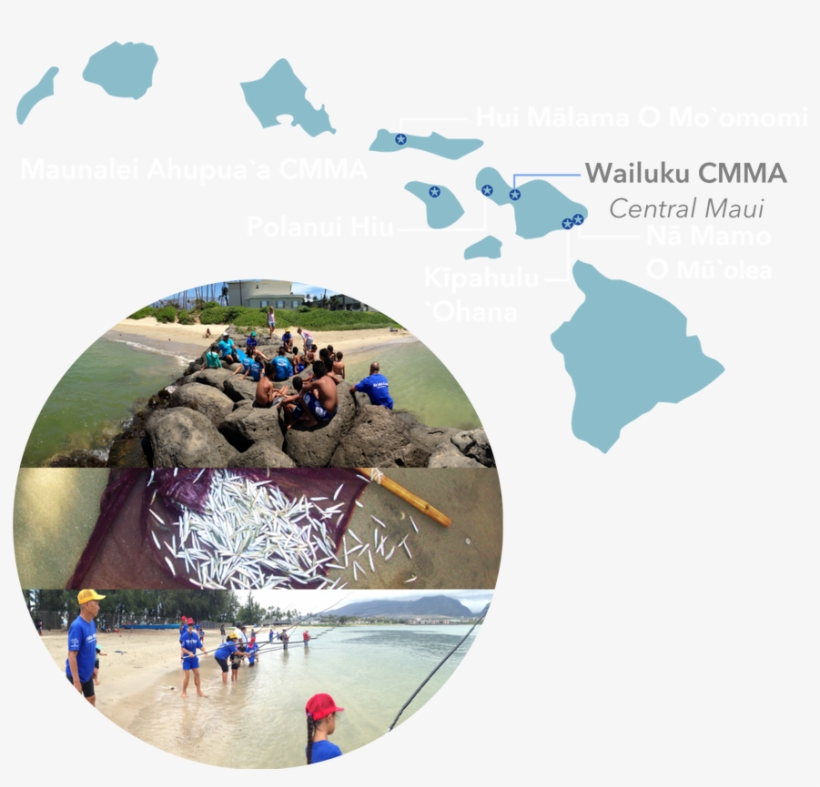We Are A Group Of Local Residents And Families In Central - Hawaiian Islands Png, transparent png download