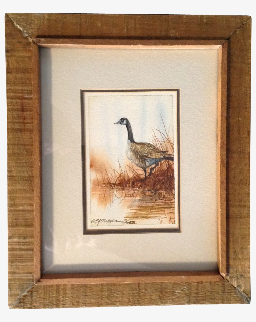 O'callaghan, Canadian Goose, Watercolor Painting, 1983 - Watercolor Painting, transparent png download