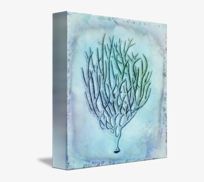 Coral Watercolor Iii By Cora Niele Jpg Royalty Free - Library, transparent png download