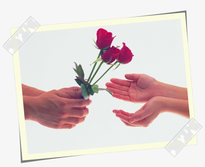 Dur - Love, transparent png download