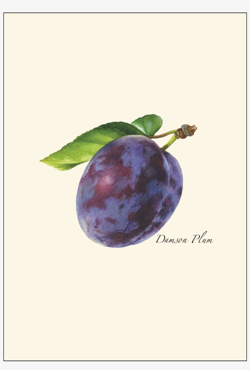 Shopping Cart -  -  - Drawing, transparent png download