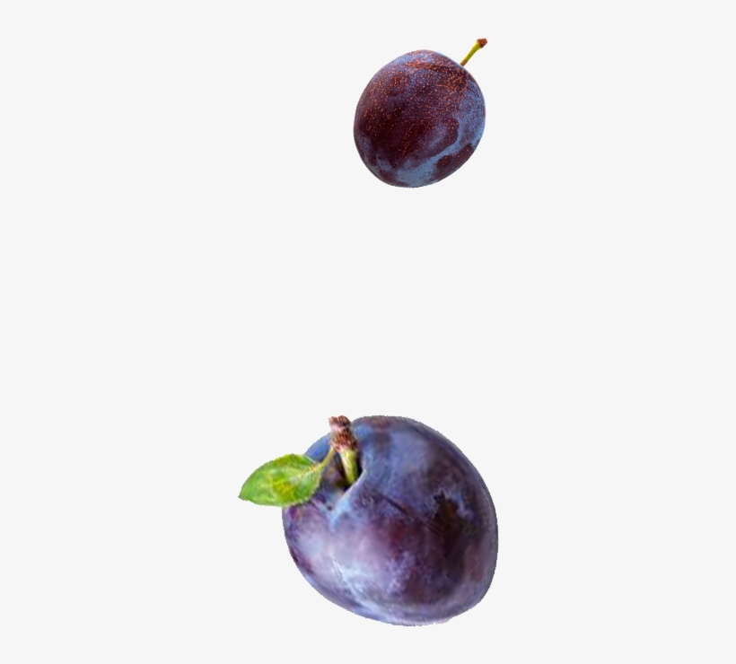 Shop Now - Gerber 1st Foods Nature Select, Prunes - 2 Pack, 2.5, transparent png download