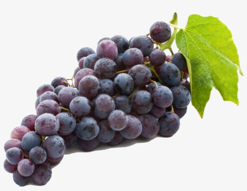 Concord Grapes, transparent png download