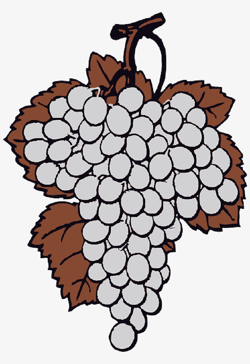 Mb Image/png - Purple Grapes Shower Curtain, transparent png download