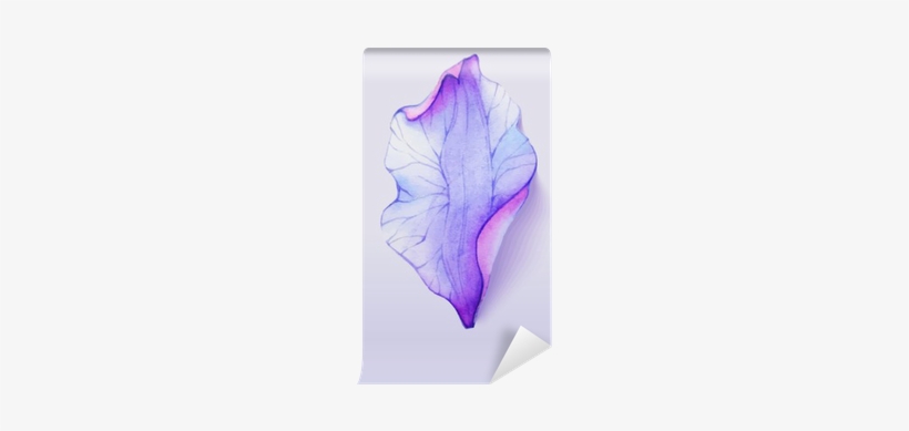 Petal Watercolor, transparent png download