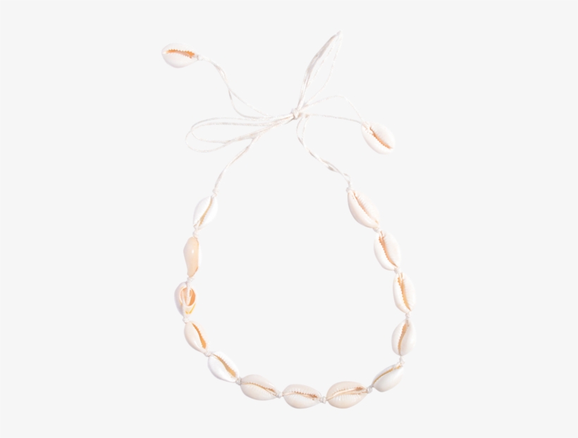 Womens Necklaces - Shell Choker Necklace, transparent png download