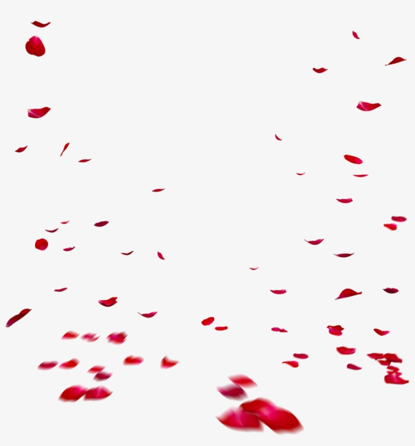 Flower Petal Png - Clip Art, transparent png download