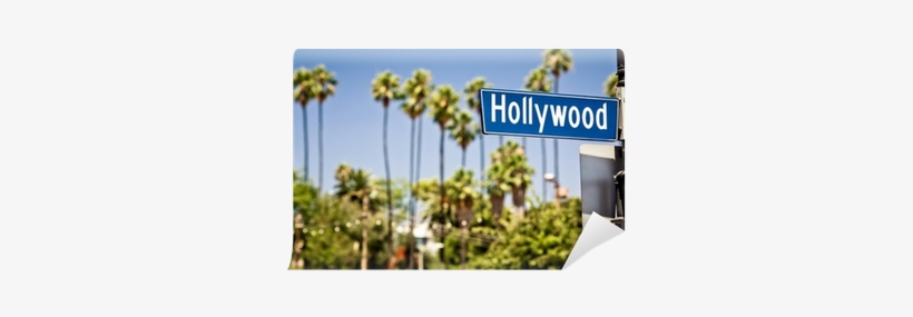 Hollywood Blvd Sticker, transparent png download