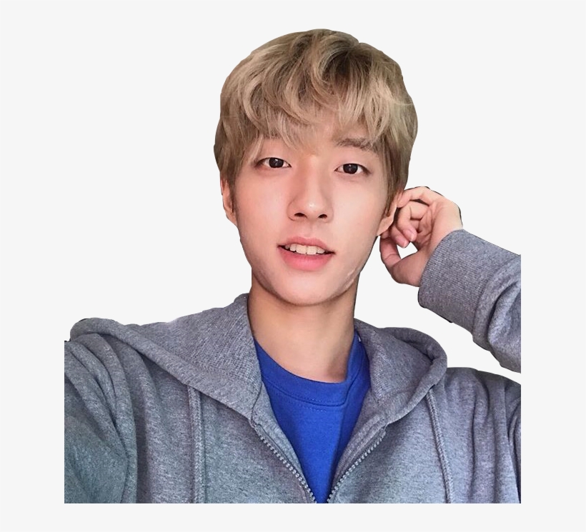 Holland Neverland Kpop Pngfreetoedit - Holland Neverland, transparent png download