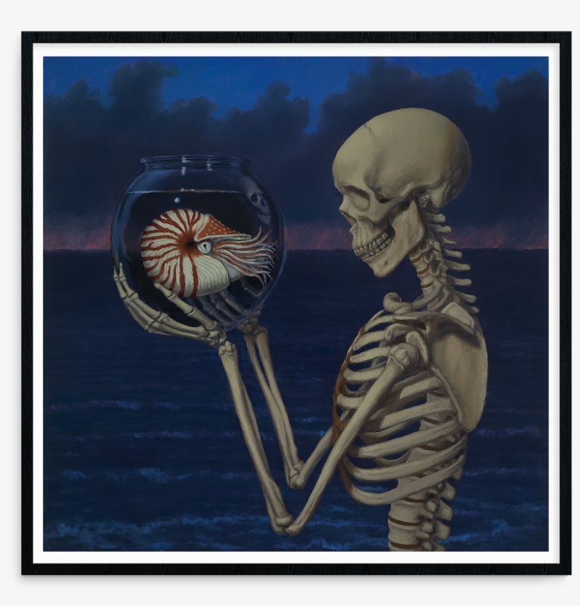 Sandra Yagi, "death And Nautilus" - Skeleton, transparent png download