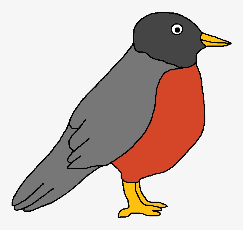 Robin Clipart - - Clipart Of A Robin, transparent png download