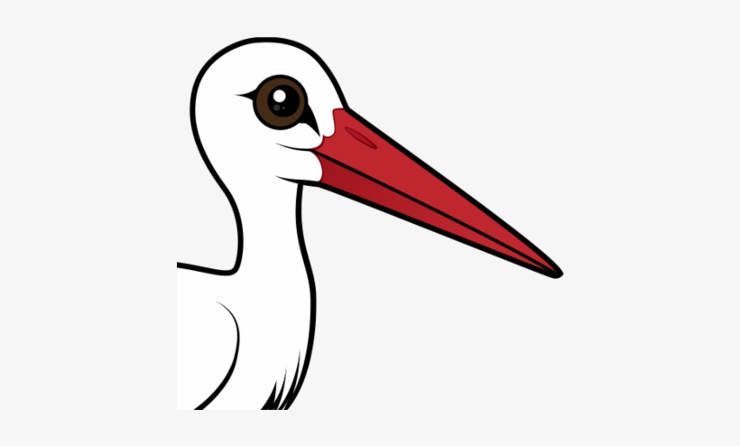 About The White Stork - White Stork In Europe, transparent png download