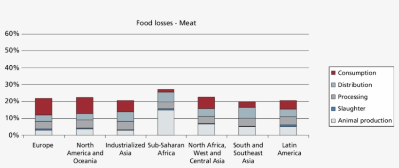 Part Of The Initial Production Lost Or Wasted For Meat - Figure 6 Part Of The Initial Production Lost Or Wasted, transparent png download