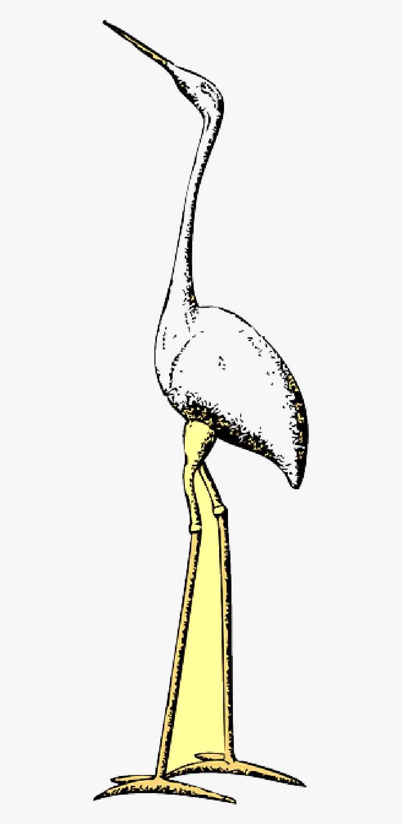 Mb Image/png - Clip Art, transparent png download