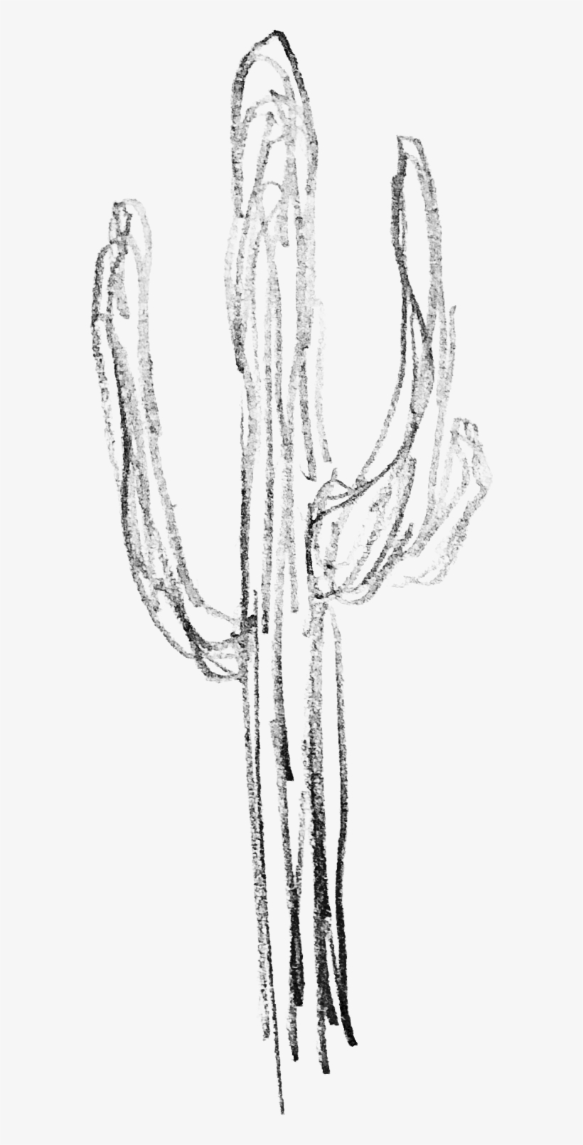 Line Doodles Misc - Sketch, transparent png download