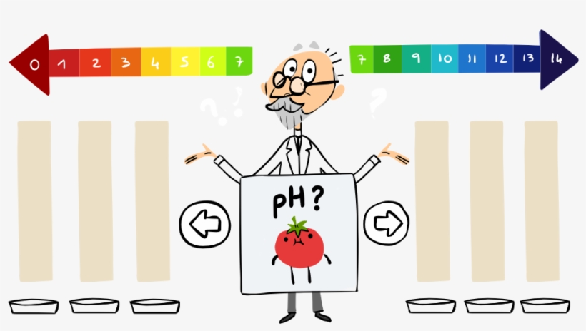 Why Google Is Celebrating S - Spl Sørensen, transparent png download