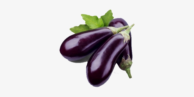 Eggplant Free Download Png - Brinjal Png, transparent png download
