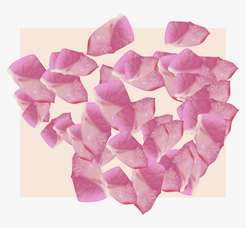 Flower Petal Vector - Rose, transparent png download