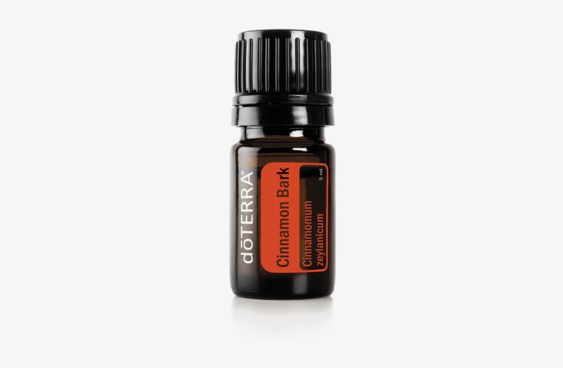 Doterra Cinnamon Essential Oil - Doterra Cinnamon Bark Cinnamomum Zeylanicum, transparent png download