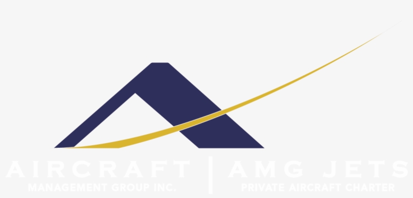 Private Jet Aircraft Charter - Jet Aircraft, transparent png download