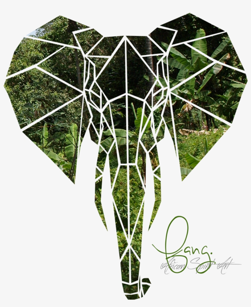 Fang Logo - Brandteez - Onlinee T-shirt Mega Store, transparent png download