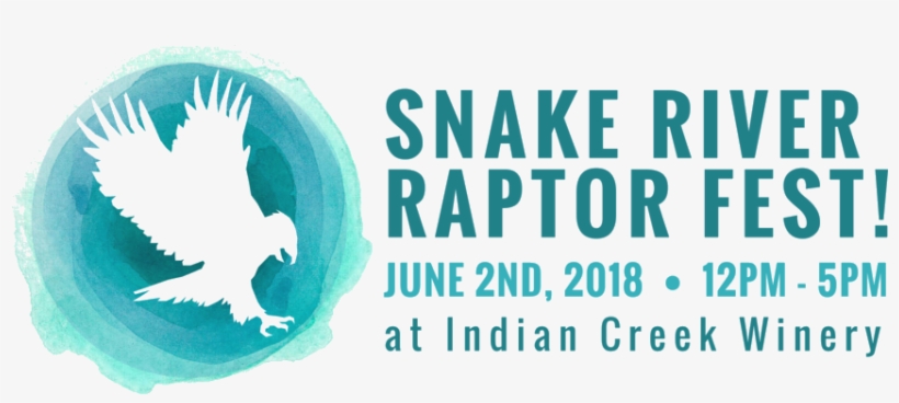 Raptor Fest Horizontal Logo - Bird Of Prey, transparent png download