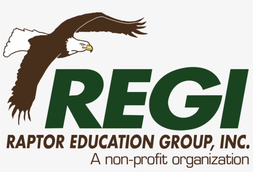Regi Logo Large Transparent - Raptor Education Group Logo, transparent png download