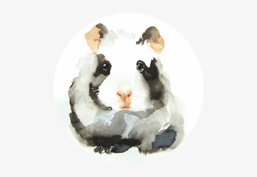 Watercolor Painting, transparent png download