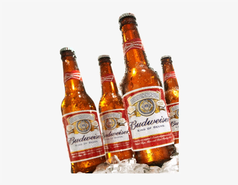 Budweiser Transparent Png Chilled Budweiser Bottle Transparent Png 500x565 Free Download On Nicepng
