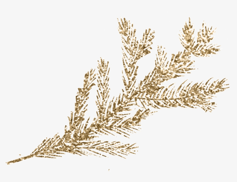Watercolor Decorative Plant Free Matting Material - Twig, transparent png download