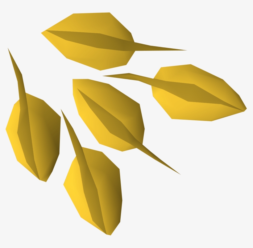 Seed Png Hd - Portable Network Graphics, transparent png download