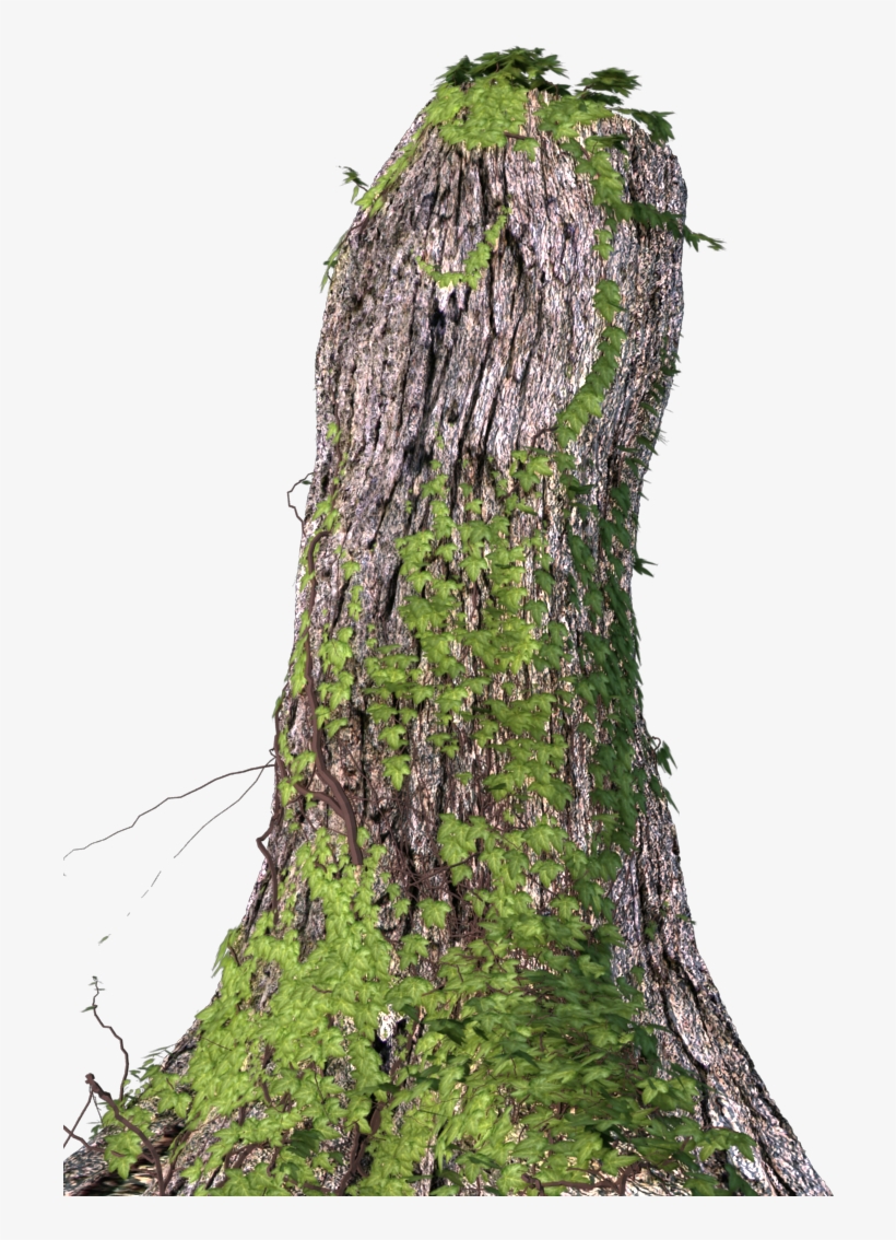 301 Moved Permanently - Tree Stump, transparent png download