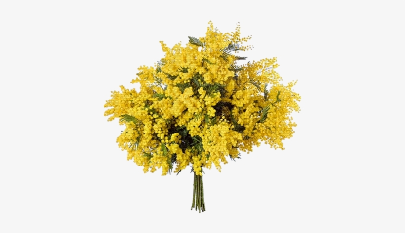 Mimosa - Mimosa Bouquet, transparent png download