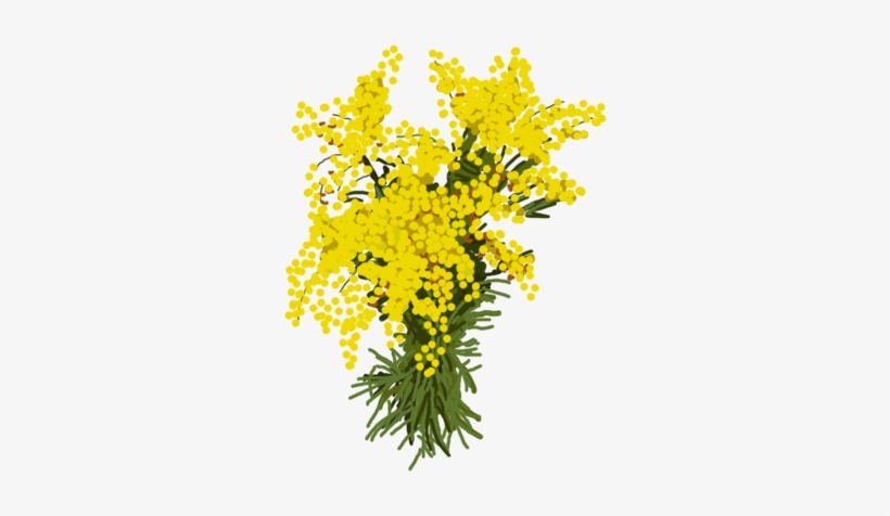 Publicat De Eu Ciresica La - Bouquet, transparent png download