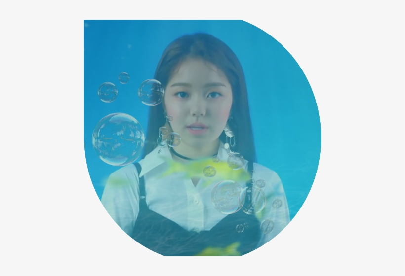 Bubblor, transparent png download