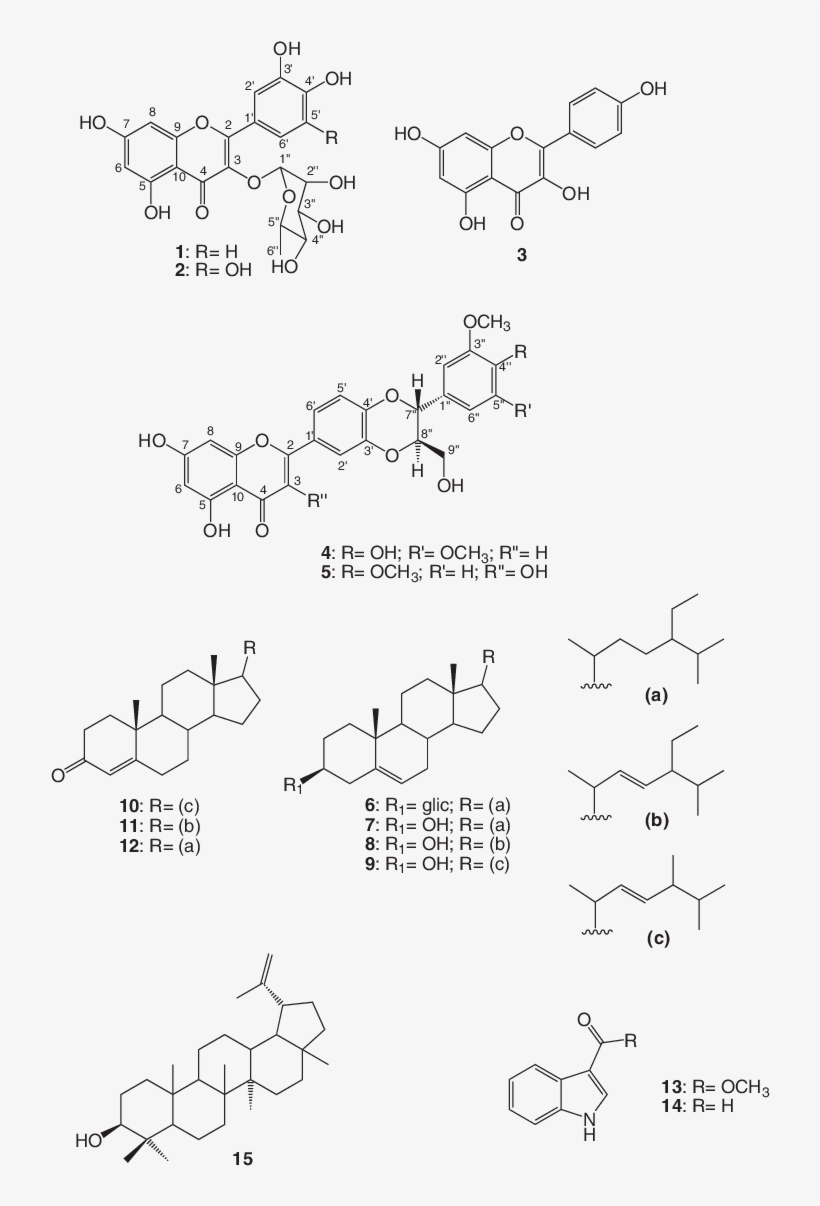 Substâncias Isoladas De Mimosa Artemisiana - Diagram, transparent png download