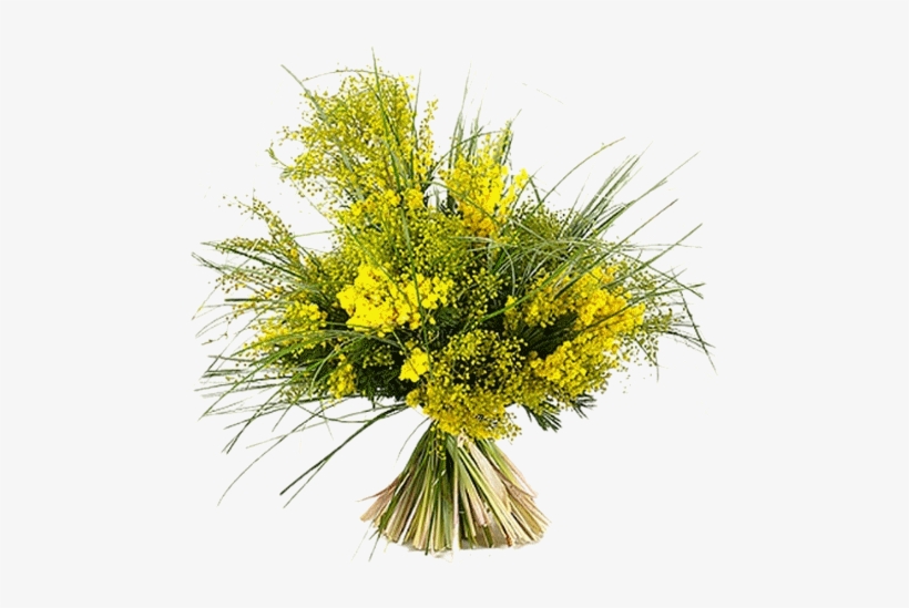 Joli Tube - Bouquet De Mimosa Png, transparent png download