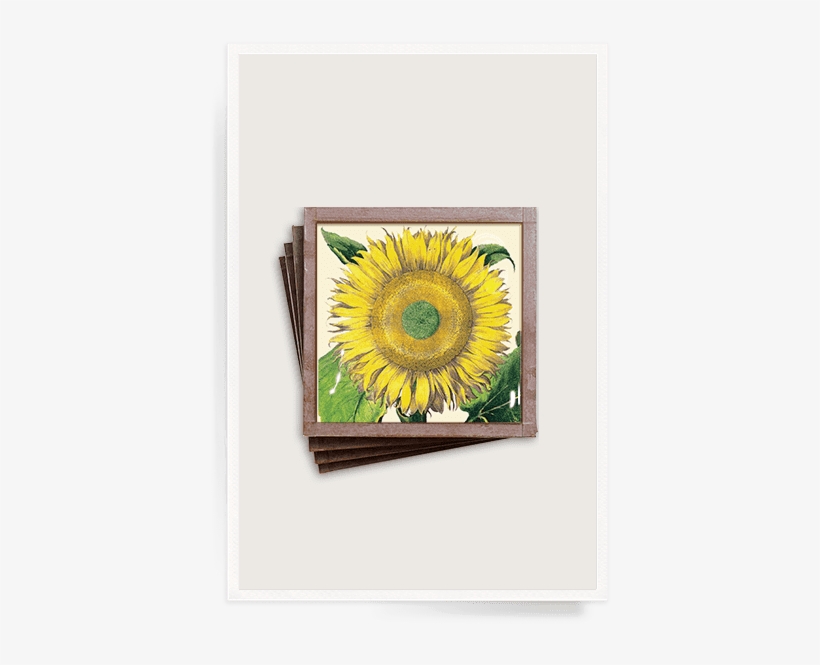 Ben's Garden - Flower Garden Tear Off Weekly 2014, transparent png download
