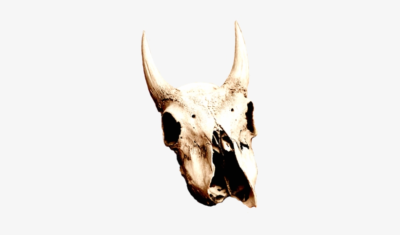 Skull Clipart Desert Skull - Desert Skull Png, transparent png download