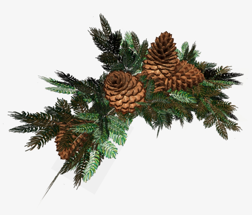 Pine Cones, Christmas Christmas, Cgi, Acrylics, Natal, - Еловые Ветки На Прозрачном Фоне, transparent png download