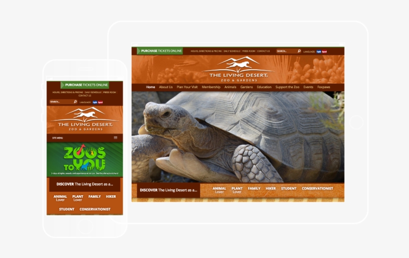 Desert Tortoise, transparent png download