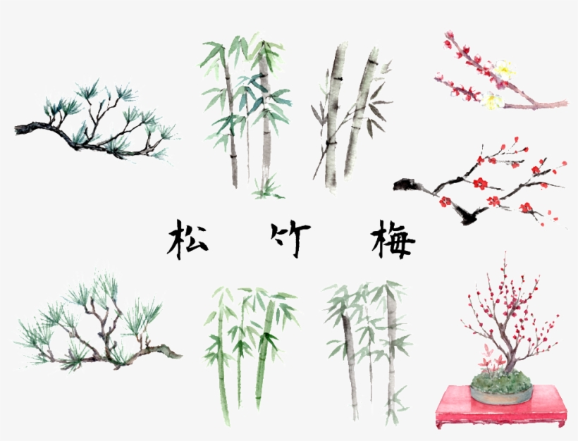 Hand-painted Pine Plum - Drawing, transparent png download