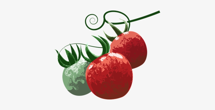 Tomato, Fruit, Food, Healthy, Fresh - Food, transparent png download