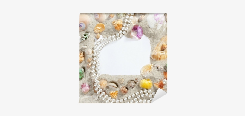 Border Frame Summer Beach Shell Pearl Necklace Wall - Necklace, transparent png download