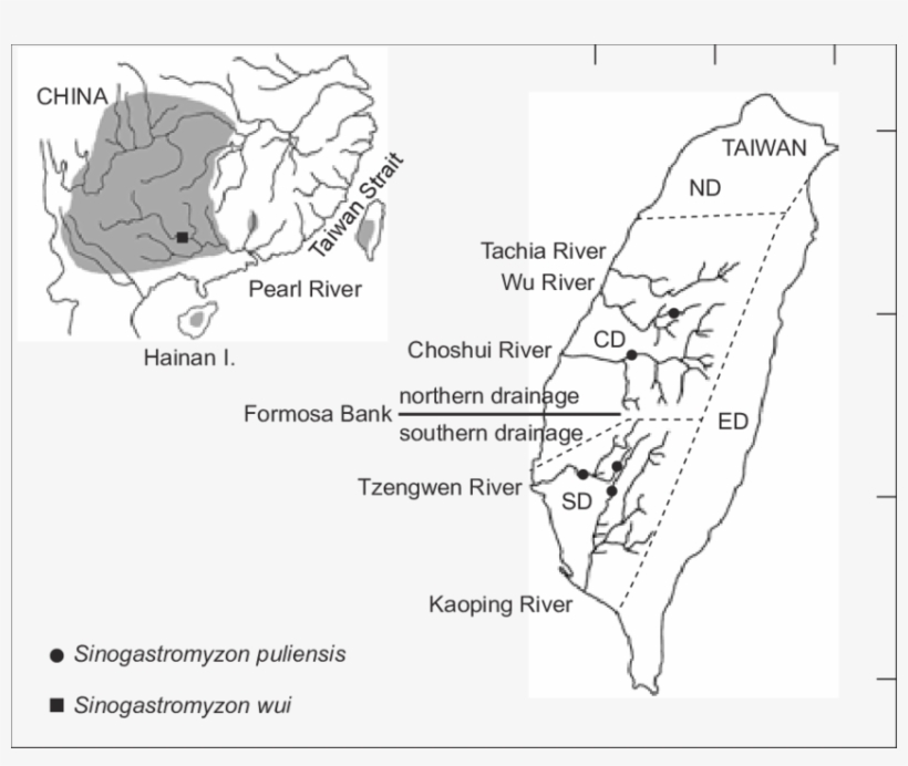 Sampling Localities Of Sinogastromyzon Puliensis And - Diagram, transparent png download