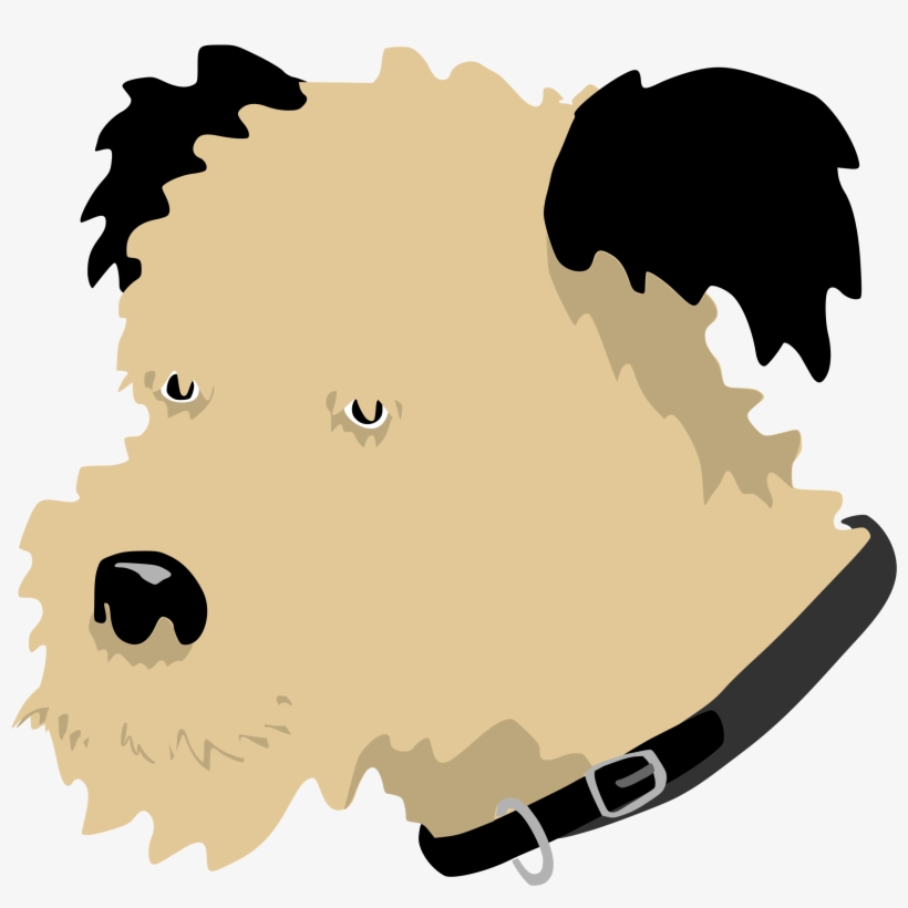 Perro Png, transparent png download