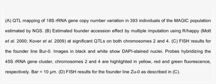 Mapping In The Magic Lines Reveals Both Nors In A, transparent png download