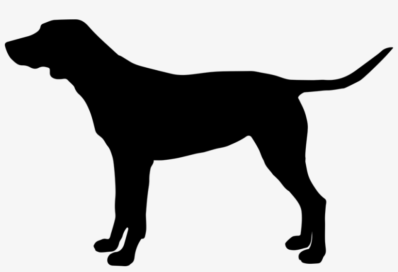 Silhouette Of Greyhound Dog, transparent png download